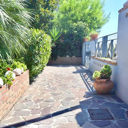 Gialla Porto Recanati