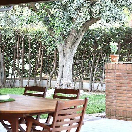 Gialla Porto Recanati