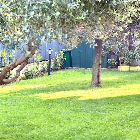 Gialla * Porto Recanati